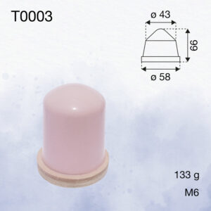 T0003