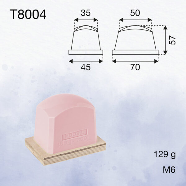 T8004