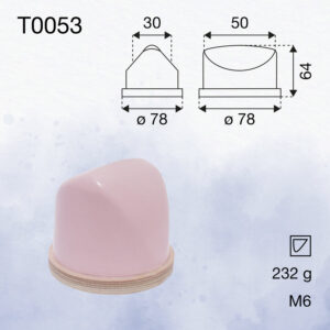 T0053