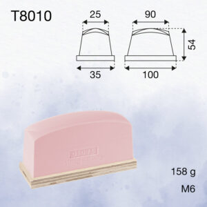 T8010