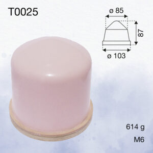 T0025