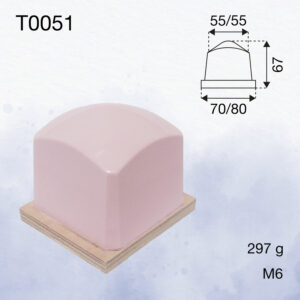 T0051