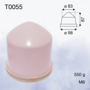 T0055
