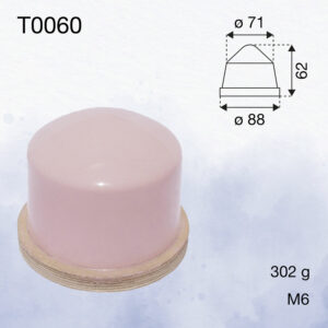 T0060