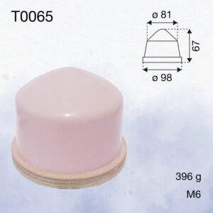 T0065
