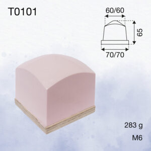 T0101