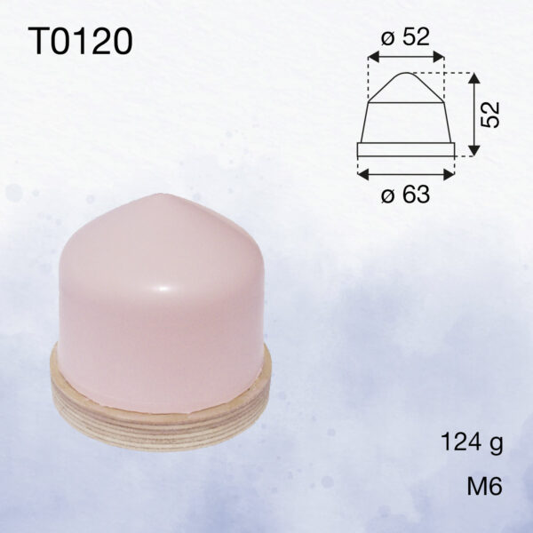 T0120