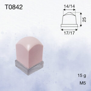 T0842