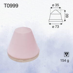T0999