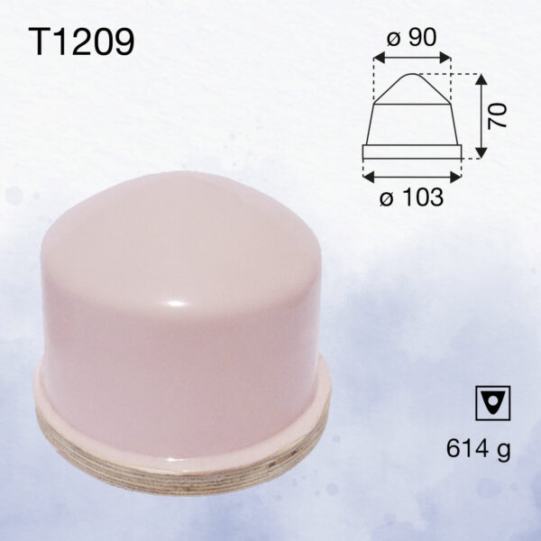 T1209
